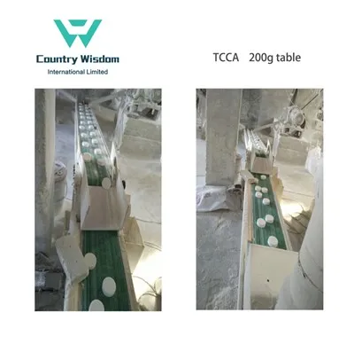 Eng yaxshi sifatli TCCA 90% xlor 200g planshetlar ishlab chiqaruvchisi